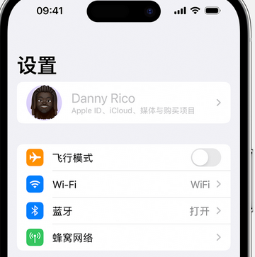 南郑appleID维修服务iPhone设置中Apple ID显示为灰色无法使用 