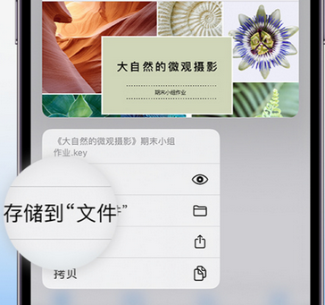 南郑apple维修中心分享iPhone文件应用中存储和找到下载文件