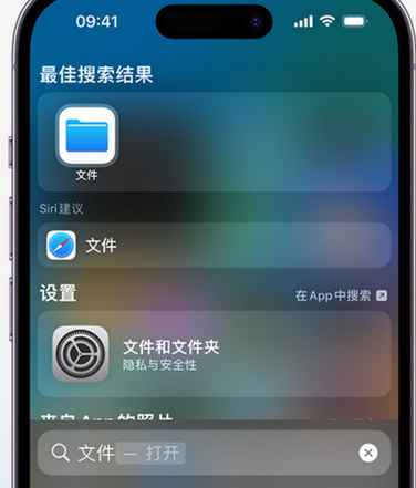 南郑apple维修中心分享iPhone文件应用中存储和找到下载文件