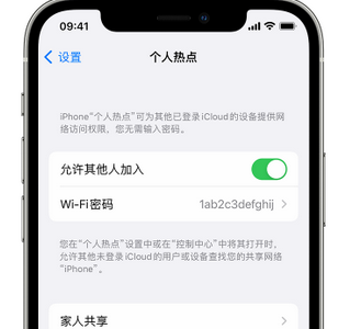 南郑apple服务站点分享iPhone上个人热点丢失了怎么办 