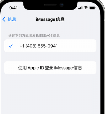 南郑apple维修iPhone上无法正常发送iMessage信息