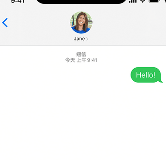 南郑apple维修iPhone上无法正常发送iMessage信息