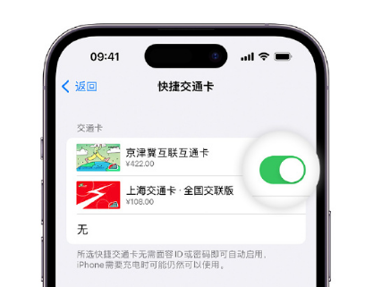 南郑apple维修点分享iPhone上更换Apple Pay快捷交通卡手绘卡面 