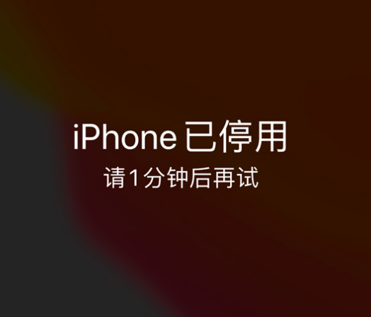 南郑苹果手机维修分享:iPhone 显示“不可用”或“已停用”怎么办？还能保留数据吗？ 