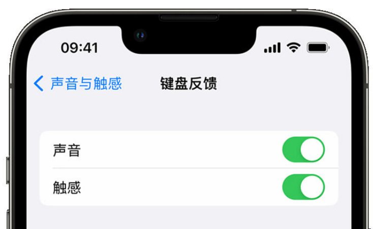 南郑苹果手机维修分享iPhone 14触感键盘使用方法 