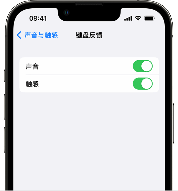 南郑苹果14维修店分享如何在 iPhone 14 机型中使用触感键盘 