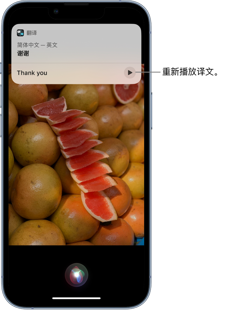 南郑苹果14维修分享 iPhone 14 机型中使用 Siri：了解 Siri 能帮你做什么 