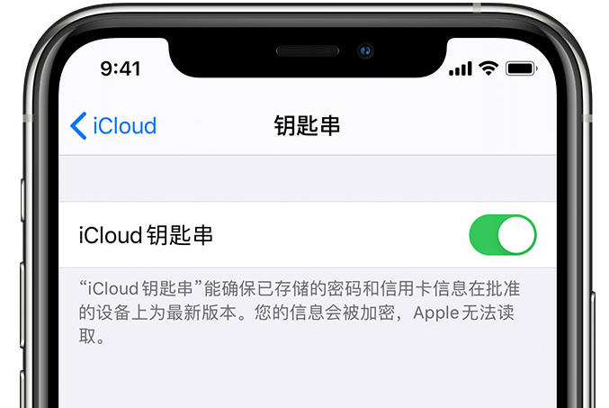 南郑苹果手机维修分享在 iPhone 上开启 iCloud 钥匙串之后会储存哪些信息 