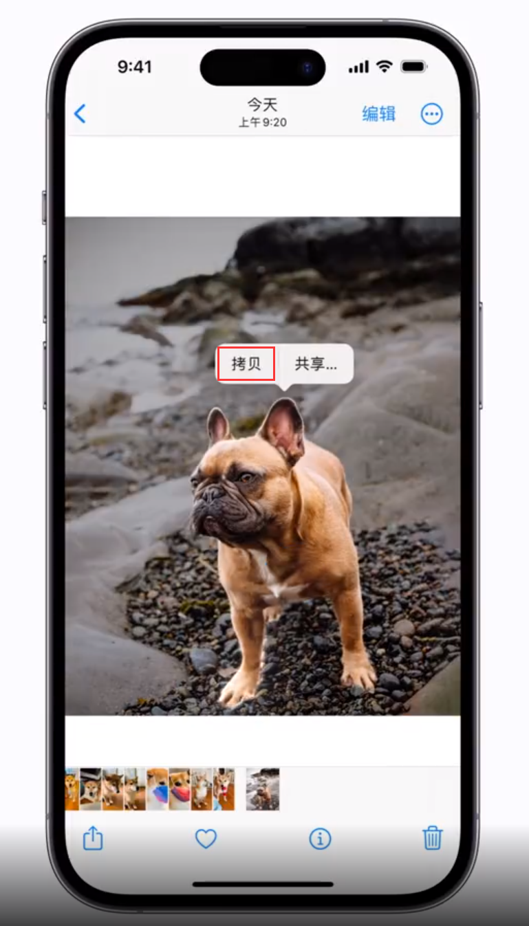 南郑苹果手机维修分享 iOS 16 自带一键抠图功能 