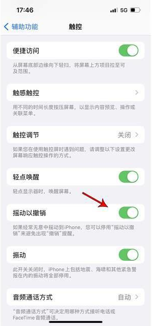 南郑苹果手机维修分享iPhone手机如何设置摇一摇删除文字 