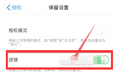南郑苹果13维修分享iPhone13拍照有绿点是怎么回事 